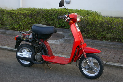 IMGP3005