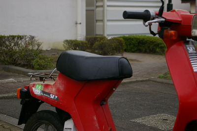 IMGP2977