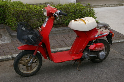 IMGP2811