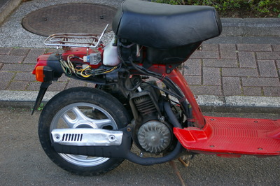 IMGP3007