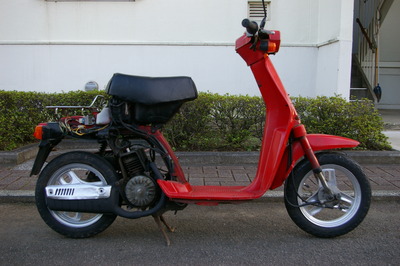 IMGP3008
