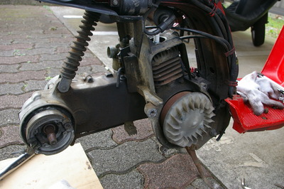 IMGP2990