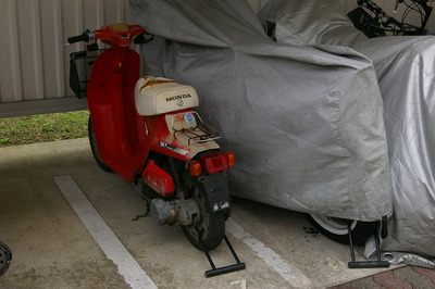 IMGP2809