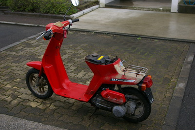 IMGP2889
