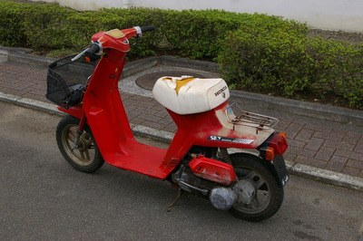 IMGP2812