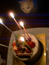 マロケーキ