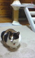 Image315_0001