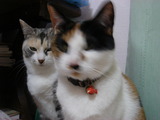DSC01933