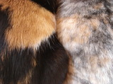 DSC01942