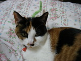 DSC01939