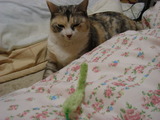DSC01935