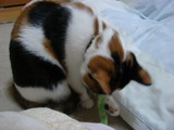 DSC01920