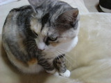 DSC01919