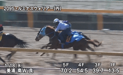 ルミナスウォリアー追い切り