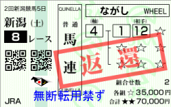 niigata8R-1