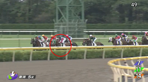 メイクデビュー新潟・3~4コーナー