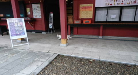 大杉神社