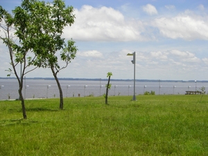 federacion 1