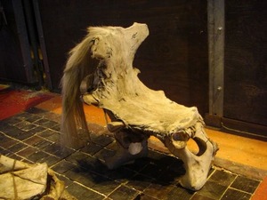 2010-07-26 rural 21