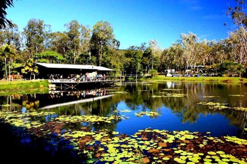 billabong-kuranda