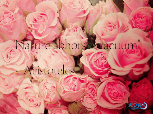 valentinerose2015