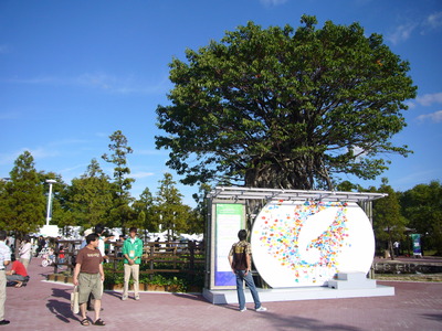 P1040764