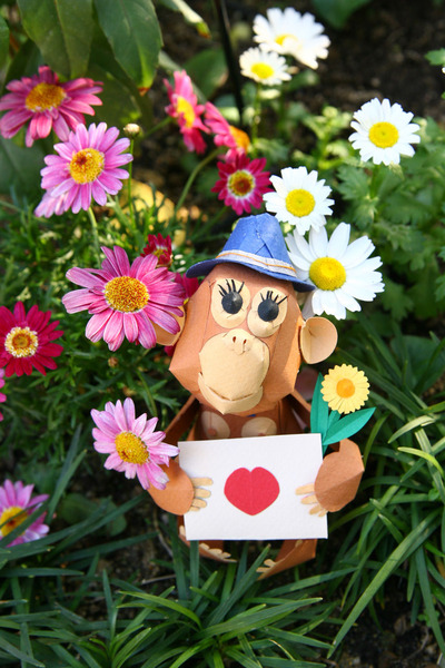 monky