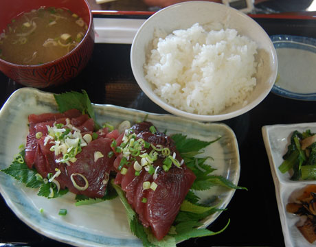 minminan_katsuo