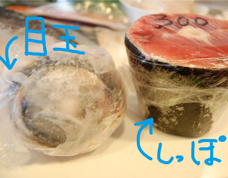 medamashippo