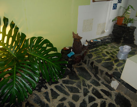 gingaso11