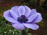 5/11