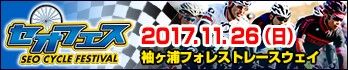 2017seofes-m