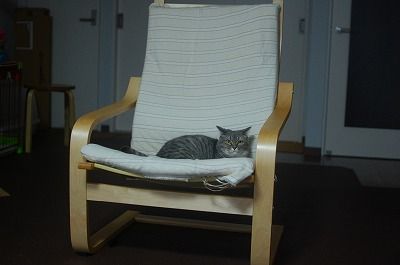 DSC_3599