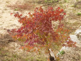 R0022617