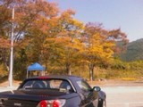 cf9864c7.jpg