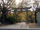 R0022900
