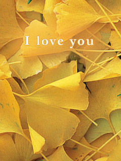 ityou