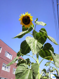 2010100111460000