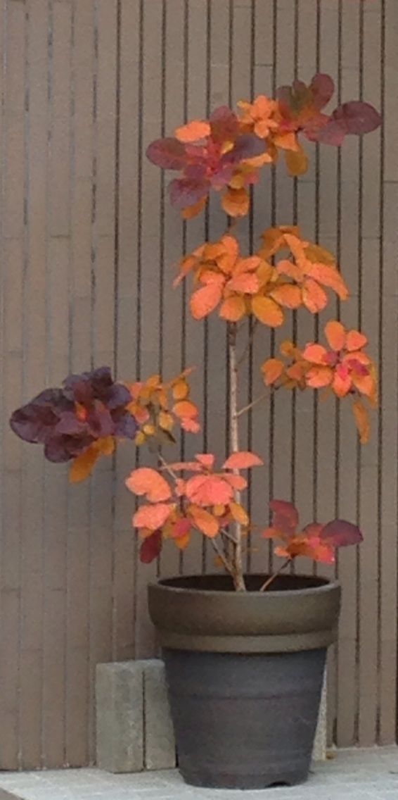 2014-11-09-14-29-04