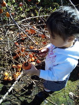 0270e040.jpg