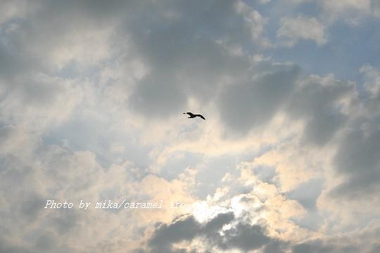 to the blue sky