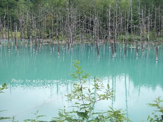 LOve iS bLUe