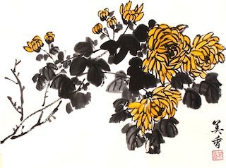 12−7菊 のコピー
