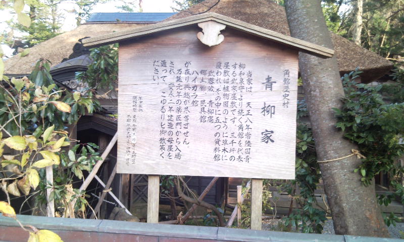 Photo029