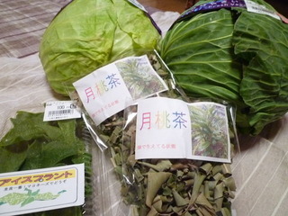P1040391