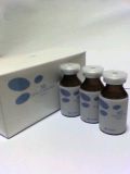kesyoui2