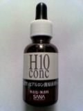 h10