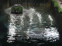 IMG_0678