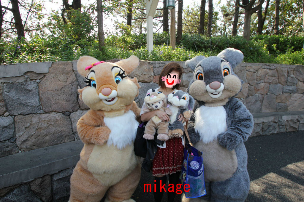 ダッフィーコスチューム「とんすけ」 上海ディズニー　ダッフィー　とんすけ　ぬいぐるみ　レア