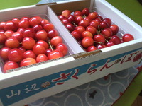 2011063010420000